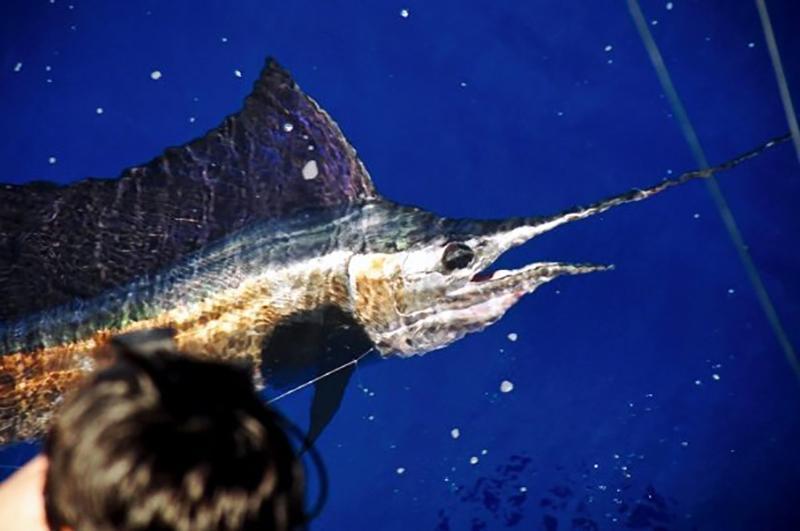 Cutting Edge Fishing - 10 mejores botes de pesca de Miami